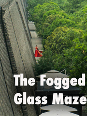 The Fogged Glass Maze Book