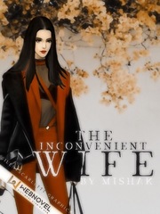 The Inconvenient Wife Book