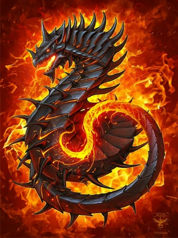 dragon king Book