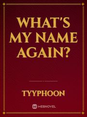 What's My Name Again? Book