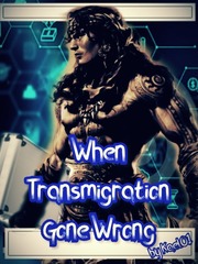 When Transmigration Gone Wrong Book