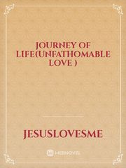 Journey of life(UNFATHOMABLE LOVE ) Book
