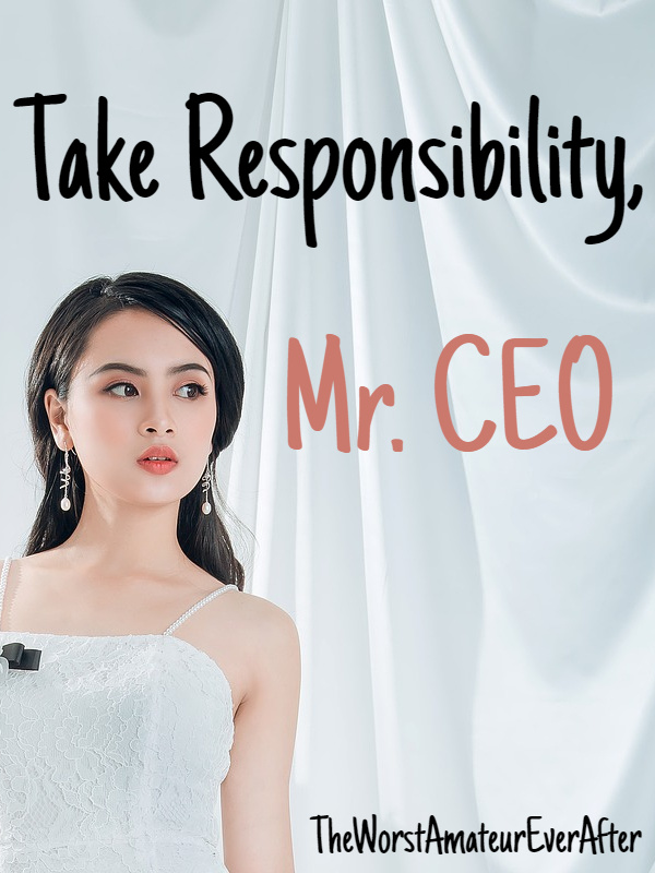 Take Responsibility, Mr. CEO Book