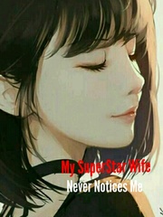 My SuperStar Wife Never Notices Me Book