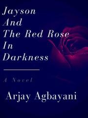 Jayson And The Red Rose  In Darkness Book