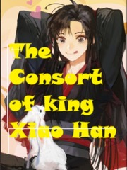 The consort of King Xiao Han Book