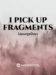 I Pick up fragments Book