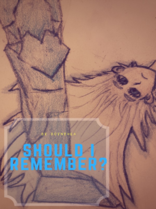 Should I Remember?[Failed Project]