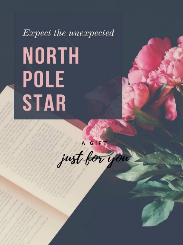North pole star