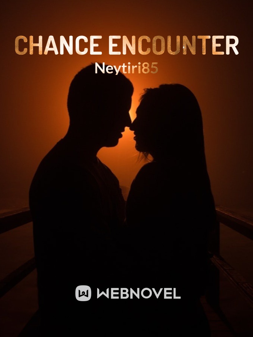 Chance Encounter Book