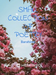 Small collection of Poetry Book