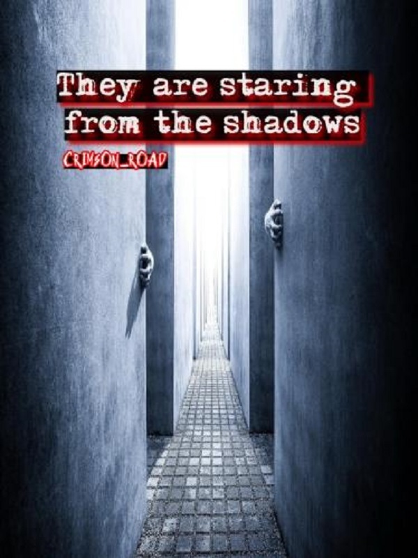 They are Staring from the Shadows Book