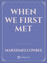 When We First Met Book