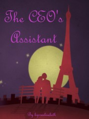 The CEO's Assistant Book