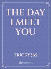 The Day I Meet You Book