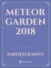 Meteor Garden 2018 Book