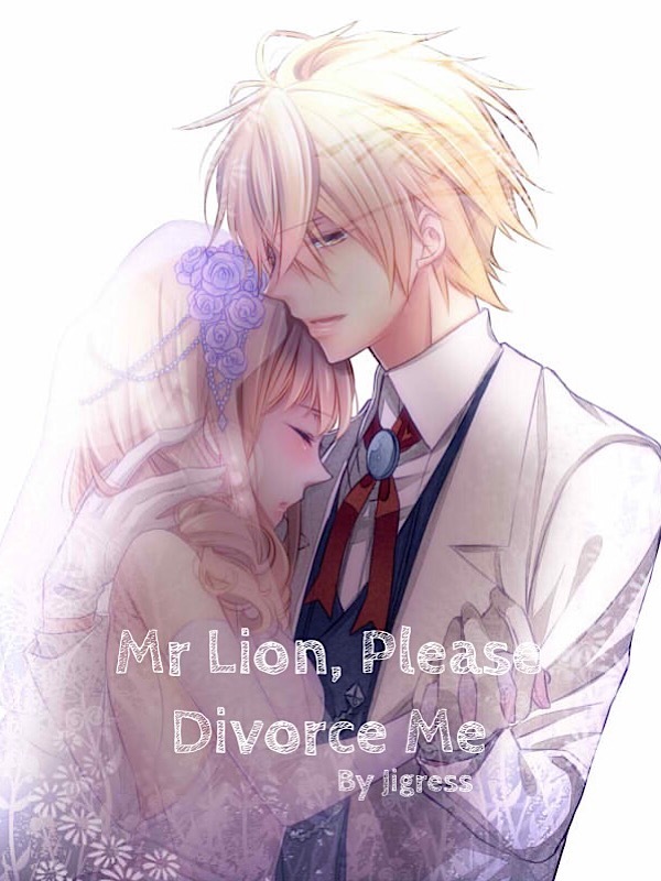 Mr Lion, Please Divorce Me Book