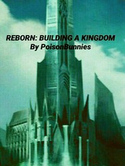 Reborn: Building A Kingdom Book