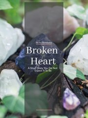 Broken Heart. Book