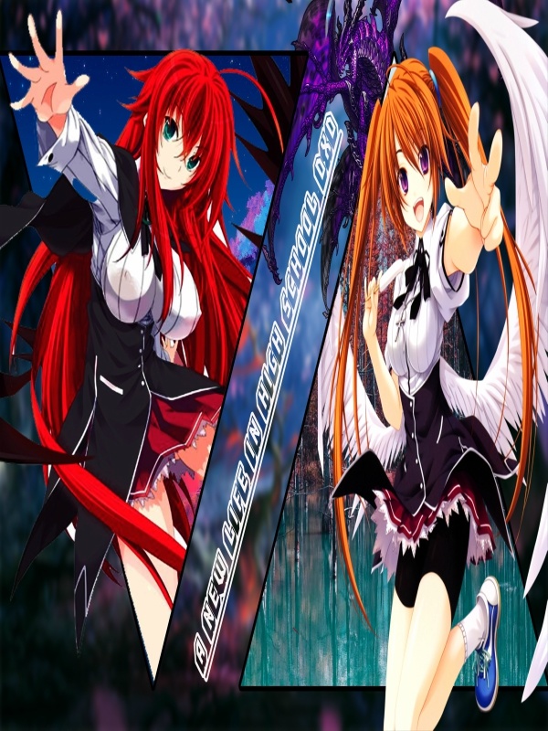 A new life in High School DXD Book