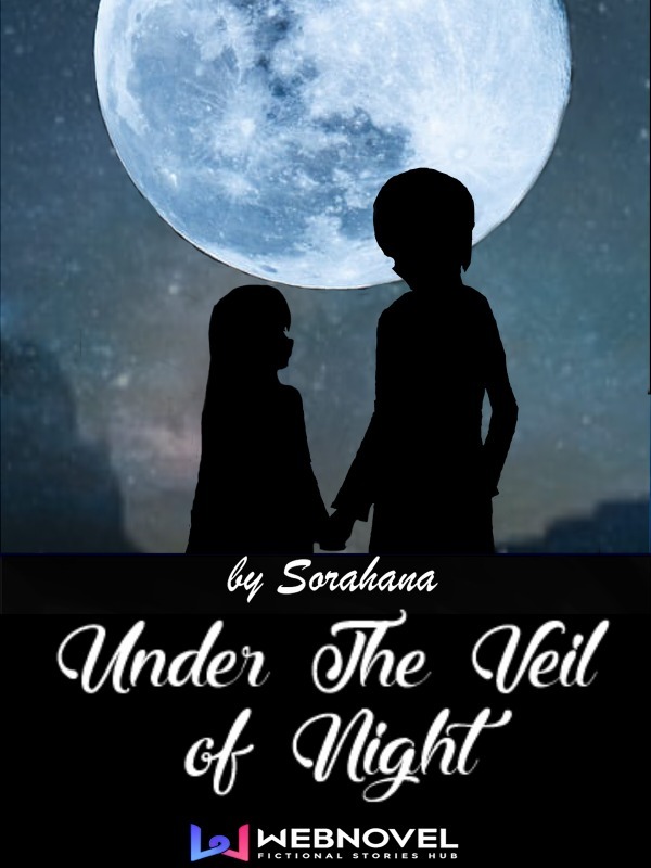 Under the Veil of Night Book