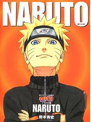 Naruto Journey Through The Lands Book