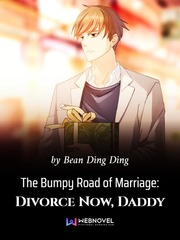The Bumpy Road of Marriage: Divorce Now, Daddy Book