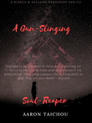 A Gun-Slinging Soul-Reaper (A Bleach Fan-fiction) Book