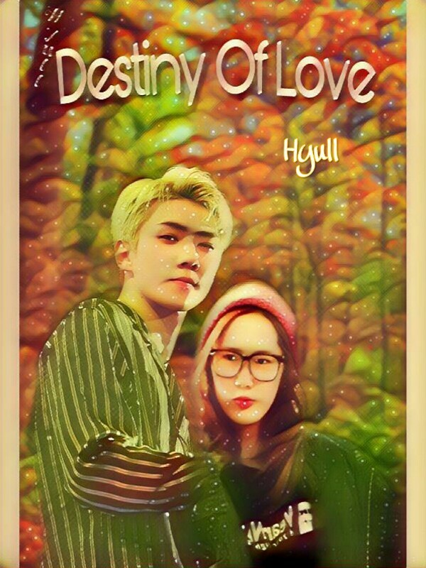 Destiny Of Love (By Hyull) Book