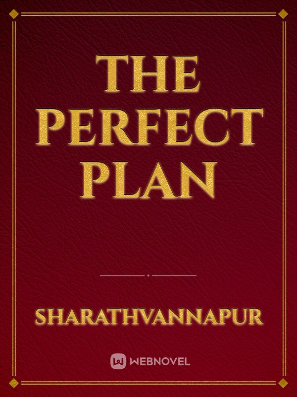 THE PERFECT PLAN Book