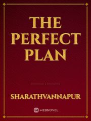 THE PERFECT PLAN Book