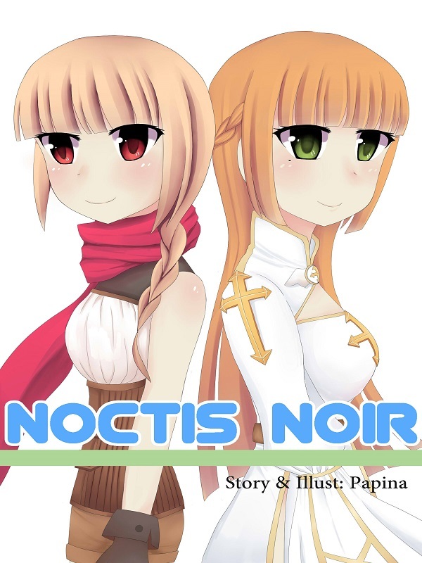 Noctis Noir Book