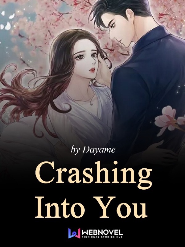 Crashing Into You Book