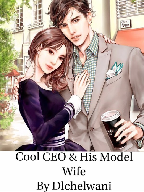 Cool CEO and his Model Wife Book