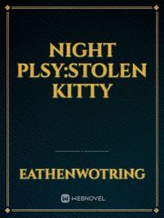 night plsy:stolen kitty Book