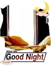 Wish Me Good Night Book