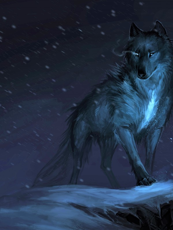The Mysterious Blue Wolf (RWBY) Book