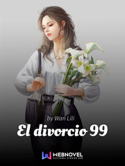 El divorcio número 99 Book
