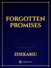 Forgotten Promises Book