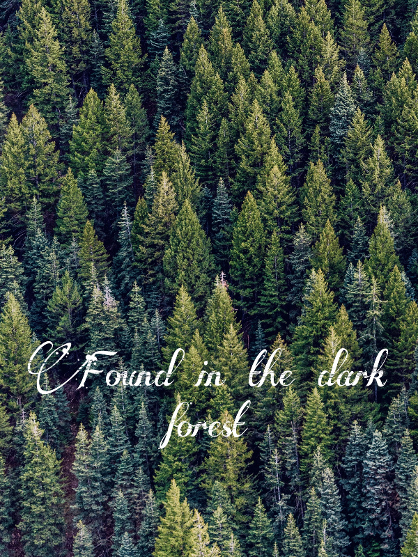 Found in the Dark Forest