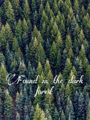 Found in the Dark Forest Book