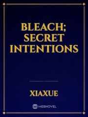 Bleach; Secret Intentions Book