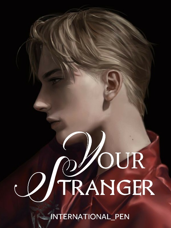 Your Stranger Book