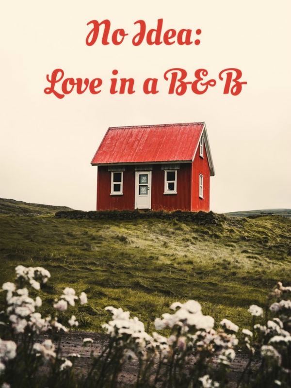 No Idea: Love in a B&B (GL)