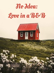 No Idea: Love in a B&B (GL) Book