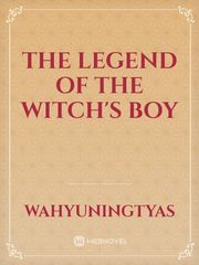 The Legend of the Witch's boy Book