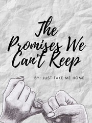 The Promises We Can't Keep Book