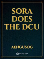 Sora does the DCU Book