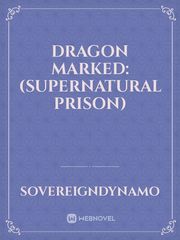 Dragon marked:(supernatural prison) Book