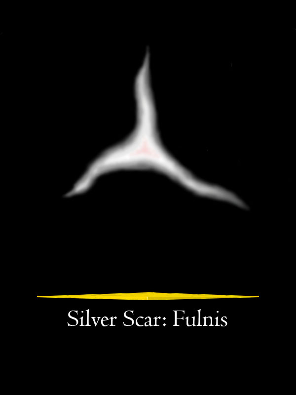 Silver Scar: Fulnis Book